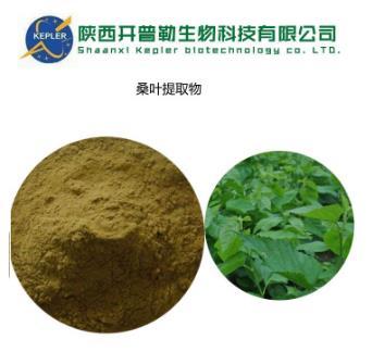 *樣品 博爾塔拉*絞股藍(lán)提取物