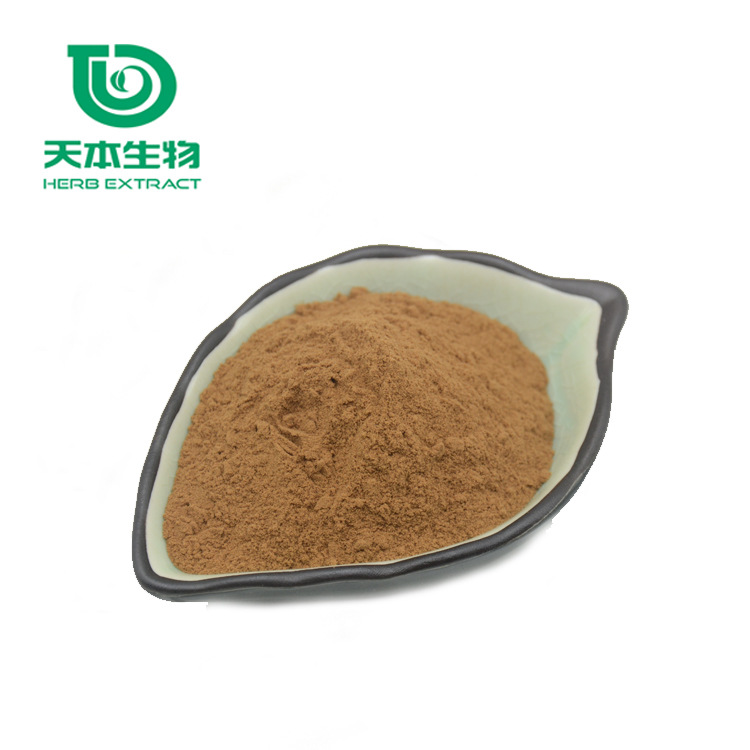 西安天本 植物提取物 當(dāng)歸提取物粉 高比例10:1 提取物 廠家批發(fā)