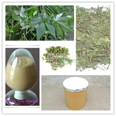 絞股藍提取物 探索絞股藍總皂苷的多樣規(guī)格與應用潛力