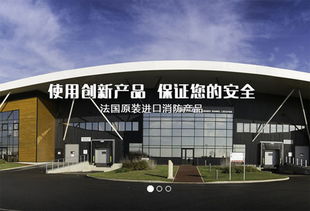上海建網站公司成功簽約法國代福中國，助力企業數字化升級